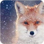 Logo of fox Wallpaper android Application 