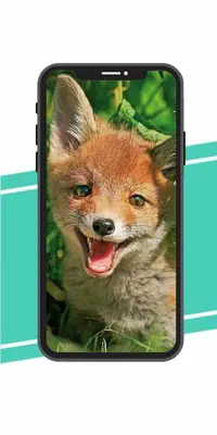 fox Wallpaper android App screenshot 0