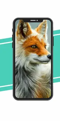 fox Wallpaper android App screenshot 1